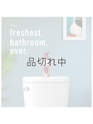 画像6: 【USファブリーズ】エアーフレッシュナー：バニラスエード