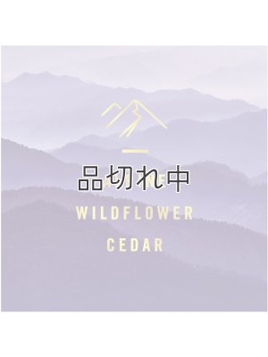 画像4: 【USファブリーズ】エアーフレッシュナー：Mountain (マウンテン)