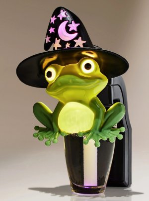 画像1: 【Bath&BodyWorks】Wallflowers本体：ウィッチーフロッグナイトライト
