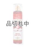 【Bath&BodyWorks】ファインフレグランスミスト：ウィンターキャンディアップル