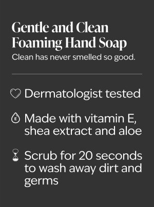 画像4: 【Bath&BodyWorks】《Disney Villainsコラボ》フォーミングハンドソープ：マレフィセント