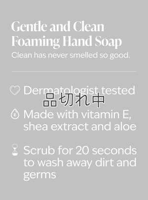 画像4: 【Bath&BodyWorks】《Disney Villainsコラボ》フォーミングハンドソープ：マレフィセント