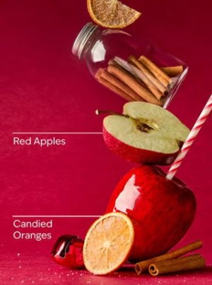 画像2: 【Bath&BodyWorks】ファインフレグランスミスト：ウィンターキャンディアップル