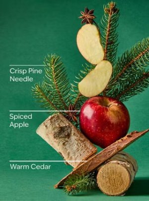 画像3: 【Bath&BodyWorks】Wallflowers詰替リフィル：ツリーファーム