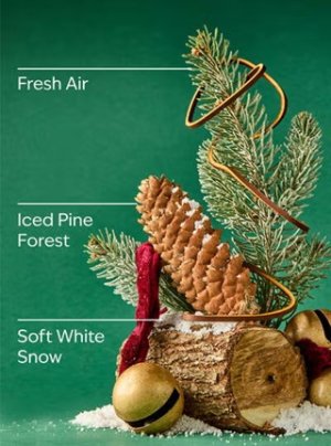 画像3: 【Bath&BodyWorks】Wallflowers詰替リフィル：フロステッドスレイライド