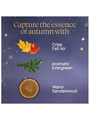 画像3: 【glade】プラグインオイルリフィル(2個入)：エンバー＆サンダルウッド