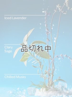 画像2: 【Bath&BodyWorks】Wallflowers詰替リフィル：アイスブルーラベンダー