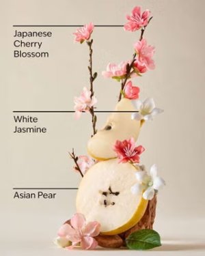 画像2: 【Bath&BodyWorks】ファインフレグランスミスト：ジャパニーズチェリーブロッサム