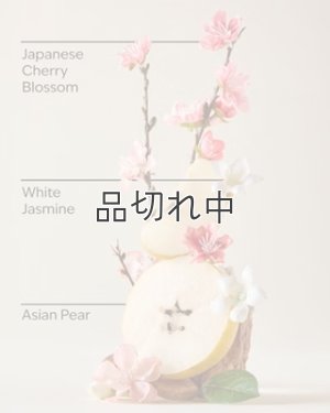 画像2: 【Bath&BodyWorks】ファインフレグランスミスト：ジャパニーズチェリーブロッサム