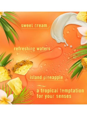 画像3: 【USファブリーズ】車用芳香剤(2個入り)：トロピカルブレンド