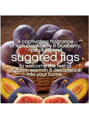 画像2: 【エアーウィック】プラグインオイルリフィル(2個入)：シュガープラム＆ウィンターフィグ