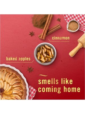 画像4: 【USファブリーズ】プラグインオイルリフィル(2セット入)：ベイクドシナモンアップル