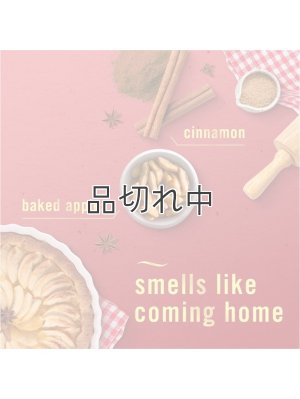画像4: 【USファブリーズ】プラグインオイルリフィル(2セット入)：ベイクドシナモンアップル