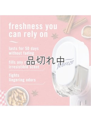 画像2: 【USファブリーズ】プラグインオイルリフィル(2セット入)：ベイクドシナモンアップル