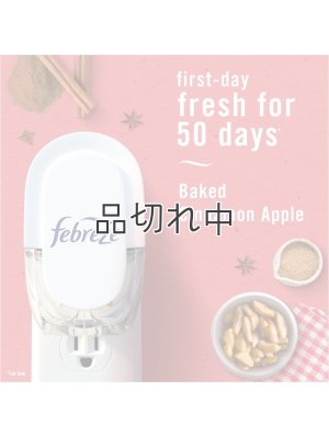 画像3: 【USファブリーズ】プラグインオイルリフィル(2セット入)：ベイクドシナモンアップル
