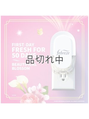 画像3: 【USファブリーズ】プラグインオイルリフィル(2セット入)：Wicked ビューティフィカルブロッサム