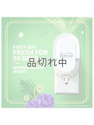 画像3: 【USファブリーズ】プラグインオイルリフィル(2セット入)：Wicked ワンダフレストウッズ