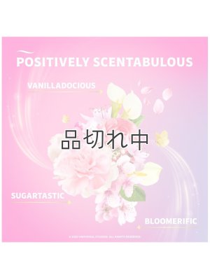 画像4: 【USファブリーズ】プラグインオイルリフィル(2セット入)：Wicked ビューティフィカルブロッサム