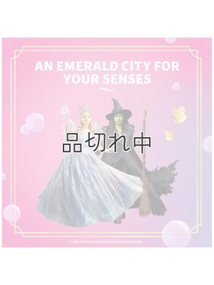 画像5: 【USファブリーズ】プラグインオイルリフィル(2セット入)：Wicked ビューティフィカルブロッサム