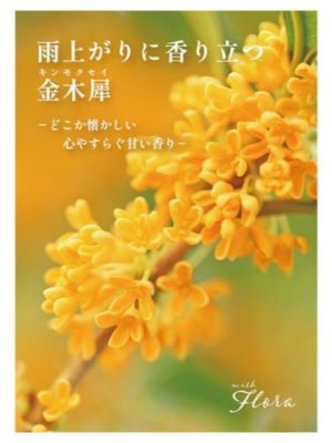 画像3: 【ウィズフローラ】ミルキーバスソルト：キンモクセイの香り