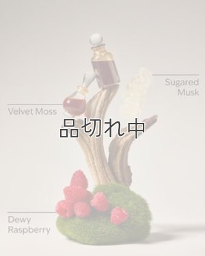 画像2: 【Bath&BodyWorks】ファインフレグランスミスト：Fruity Musk (フルーティームスク)