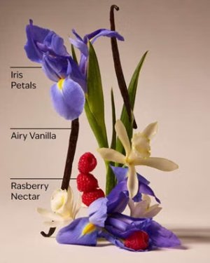 画像2: 【Bath&BodyWorks】シアバターハンドクリーム：バタフライ