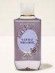 【Bath&BodyWorks】ボディウォッシュ：ラブリードリーマー