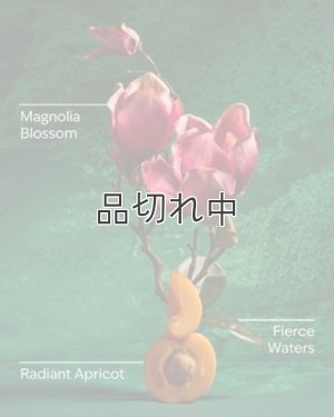 画像2: 【Bath&BodyWorks】《Disney Princessコラボ》Wallflowers詰替リフィル：Mulan (ムーラン)