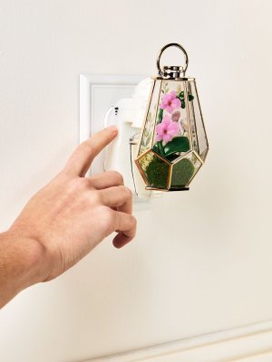 画像4: 【Bath&BodyWorks】香りの強さが調節できる★Wallflowers本体 Scent Control：オーキッドテラリウムナイトライト