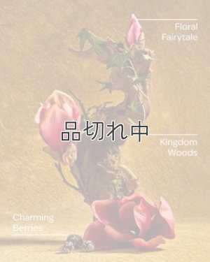 画像2: 【Bath&BodyWorks】《Disney Princessコラボ》Wallflowers詰替リフィル：Life's a Fairytale