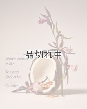 画像3: 【Bath&BodyWorks】カーフレグランス詰替リフィル：ティキビーチ