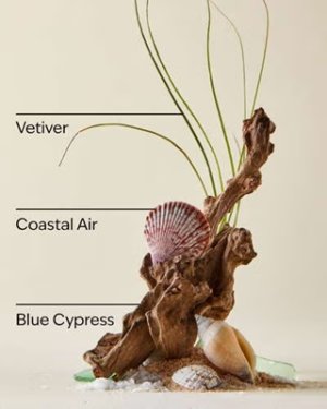 画像3: 【Bath&BodyWorks】カーフレグランス詰替リフィル：オーシャン