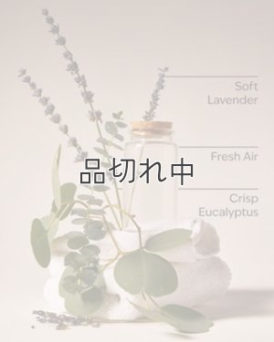 画像3: 【Bath&BodyWorks】カーフレグランス詰替リフィル：ランドリーデイ