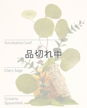 画像3: 【Bath&BodyWorks】カーフレグランス詰替リフィル：ユーカリスペアミント