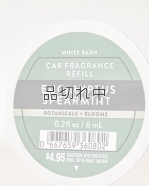 画像2: 【Bath&BodyWorks】カーフレグランス詰替リフィル：ユーカリスペアミント