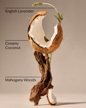 画像3: 【Bath&BodyWorks】カーフレグランス詰替リフィル：マホガニーココナッツ