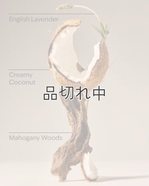 画像3: 【Bath&BodyWorks】カーフレグランス詰替リフィル：マホガニーココナッツ