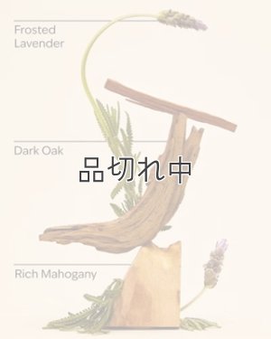 画像3: 【Bath&BodyWorks】カーフレグランス詰替リフィル：マホガニーティークウッド