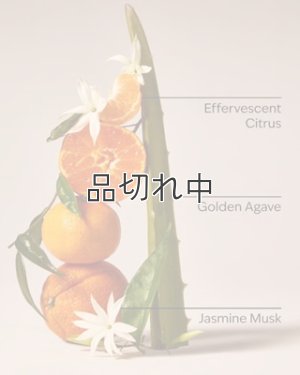 画像3: 【Bath&BodyWorks】カーフレグランス詰替リフィル：スイートオレンジ＆アガベ