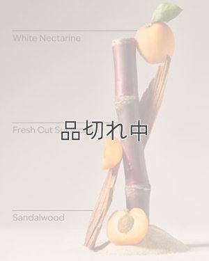 画像2: 【Bath&BodyWorks】カーフレグランス詰替リフィル：フィジーホワイトサンド