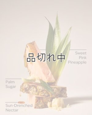 画像2: 【Bath&BodyWorks】カーフレグランス詰替リフィル：ピンクパイナップルサンライズ