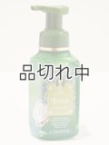 【Bath&BodyWorks】《Disney Princessコラボ》フォーミングハンドソープ：ティアナ