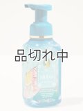 【Bath&BodyWorks】《Disney Princessコラボ》フォーミングハンドソープ：Mulan (ムーラン)