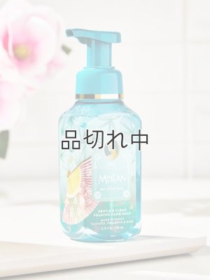 画像2: 【Bath&BodyWorks】《Disney Princessコラボ》フォーミングハンドソープ：Mulan (ムーラン)