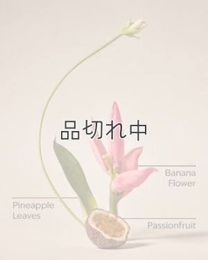 画像3: 【Bath&BodyWorks】ファインフレグランスミスト：バハマパッションフルーツ＆バナナフラワー