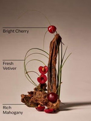 画像2: 【Bath&BodyWorks】Wallflowers詰替リフィル：マホガニーチェリー