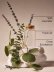 画像2: 【Bath&BodyWorks】Wallflowers詰替リフィル：ランドリーデイ (2)