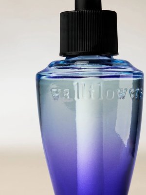 画像2: 【Bath&BodyWorks】Wallflowers詰替リフィル：Spa Day For Mom (スパデイフォーマム)