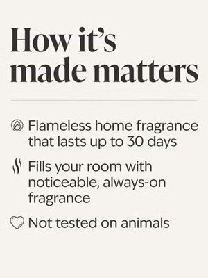 画像5: 【Bath&BodyWorks】Wallflowers詰替リフィル：A Toast to Mom! (アトーストトゥーマム)