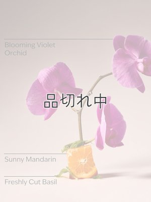 画像3: 【Bath&BodyWorks】Wallflowers詰替リフィル：GARDENISTA (ガーデニスタ)